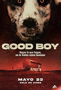 Good Boy 2022 Hindi Dubbed Norwegian Movie Download 480p 720p 1080p FilmyMeet
