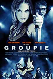 Groupie 2010 Hindi Dubbed 480p FilmyMeet