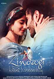 Zindagi Kitni Haseen Hay 2016 Full Movie Download FilmyMeet